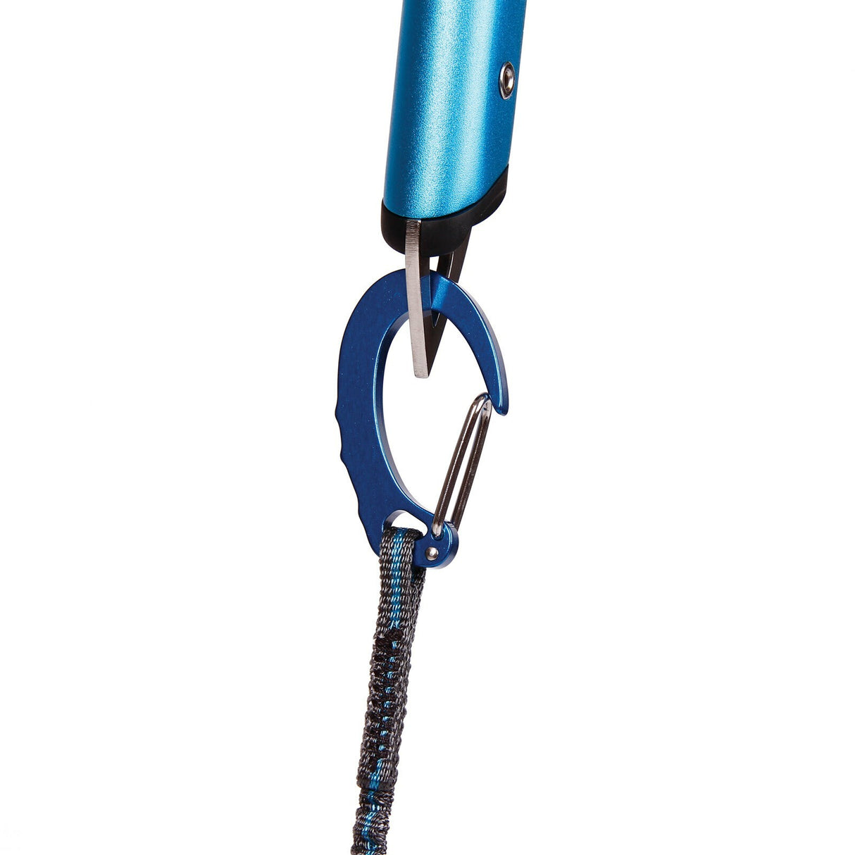 Dragonera Hydra Leash