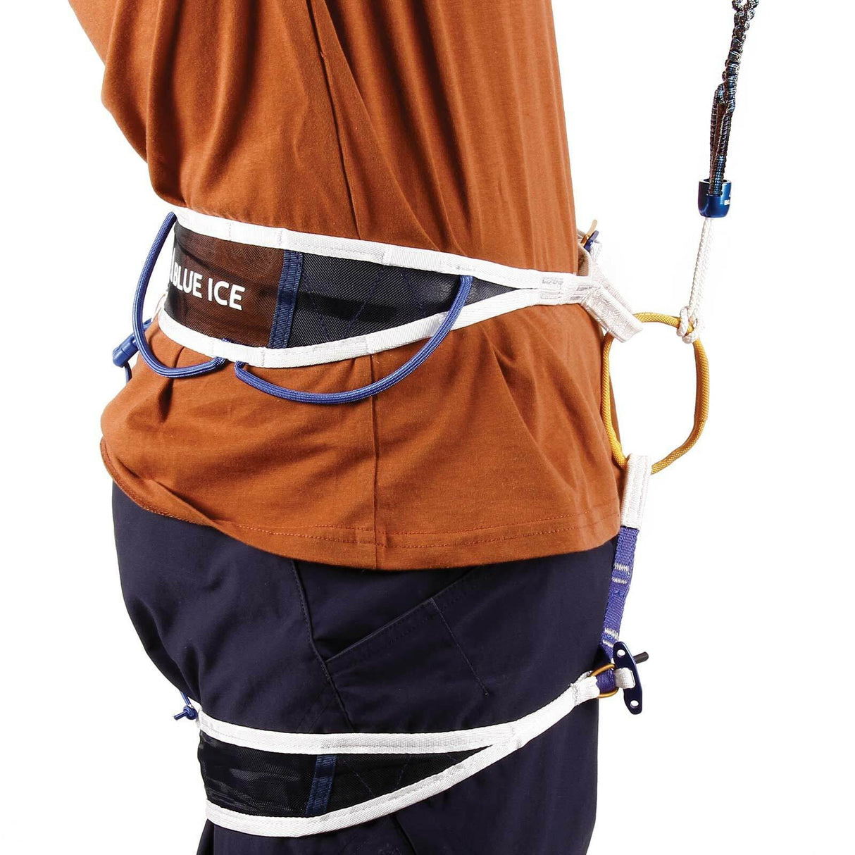 Dragonera Hydra Leash