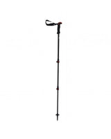 Bastones GV CARBON