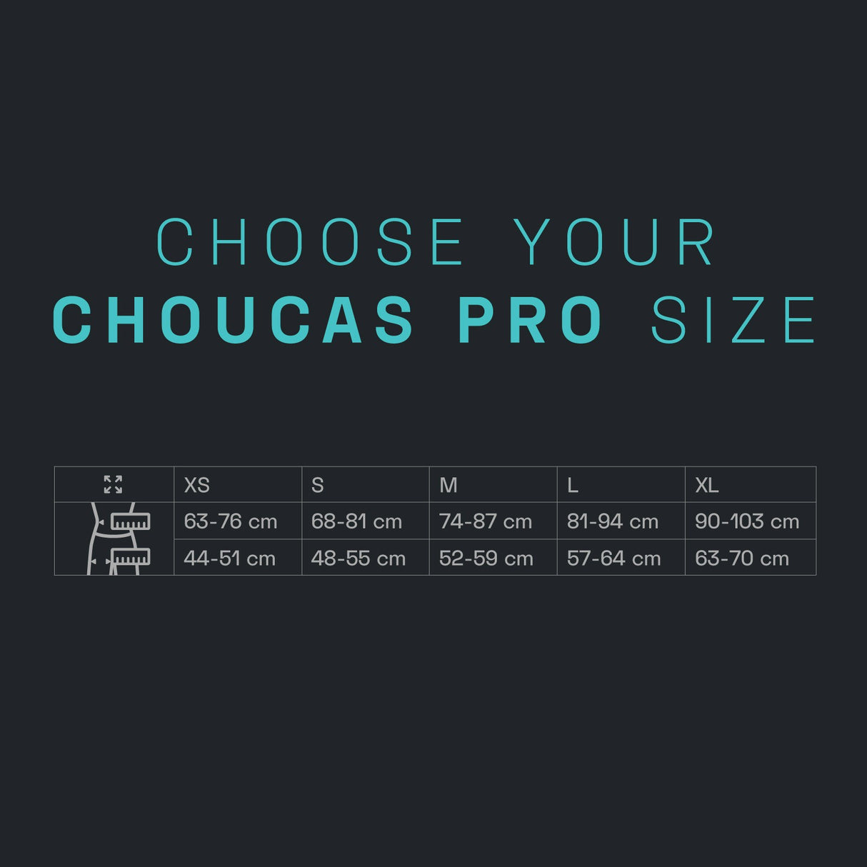 Arnés CHOUCAS PRO