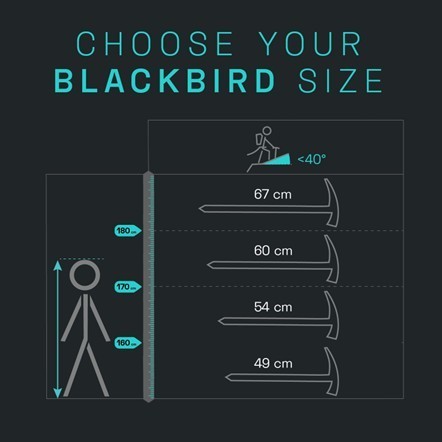 Piolet Blackbird